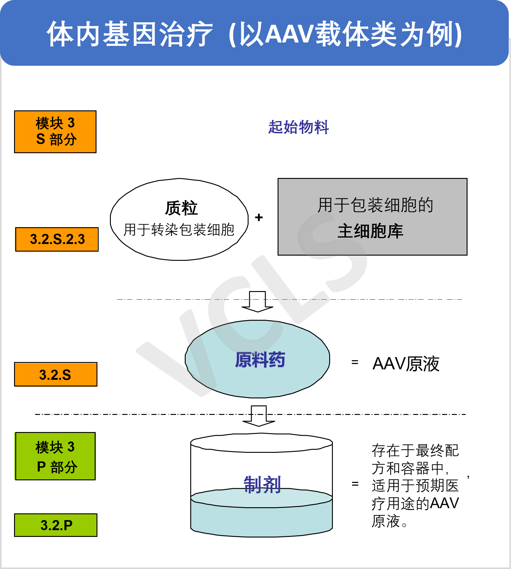 细胞和基因治疗类产品开发要点（CMC篇） - Voisin Consulting Life Sciences